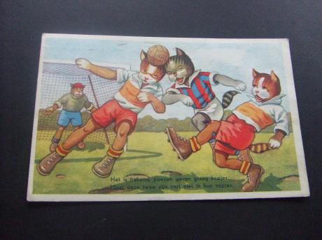 Voetbalkaart voetballende poezen oude kaart 1957